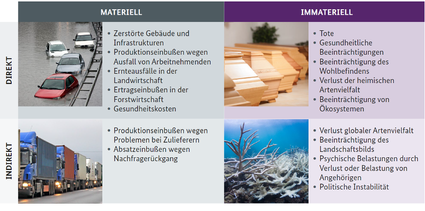 Materielle und immaterielle Klimafolgeschäden