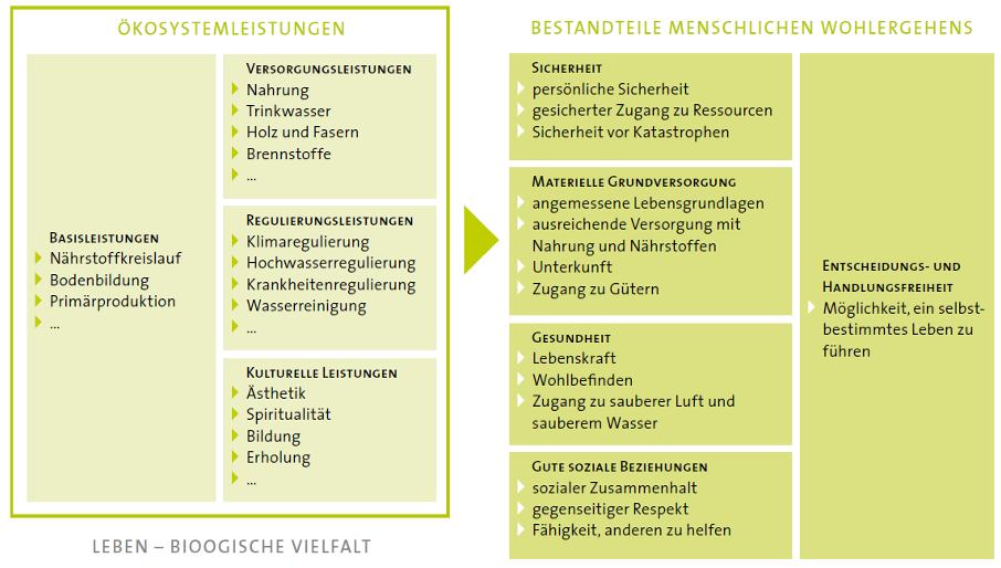 Die Ökosystemleistungen und ihr Einfluss auf den Menschen